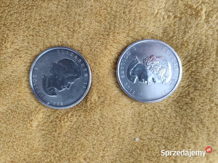 Srebrne Monety Kanadyjski Liść Klonowy 1 uncja Łazy