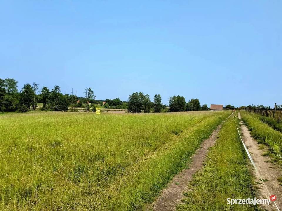 Działka z linią brzegową jeziora Wygryny w Sprzedaż