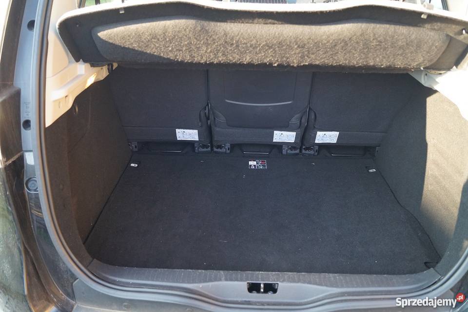 Renaut Scenik Bolechowo-Osiedle