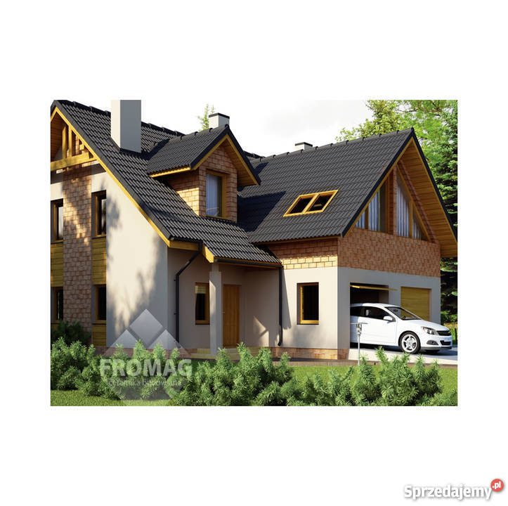 ELEWACJA Kamień szlachetny Aragonit Koral Jaspis Głogów sprzedam