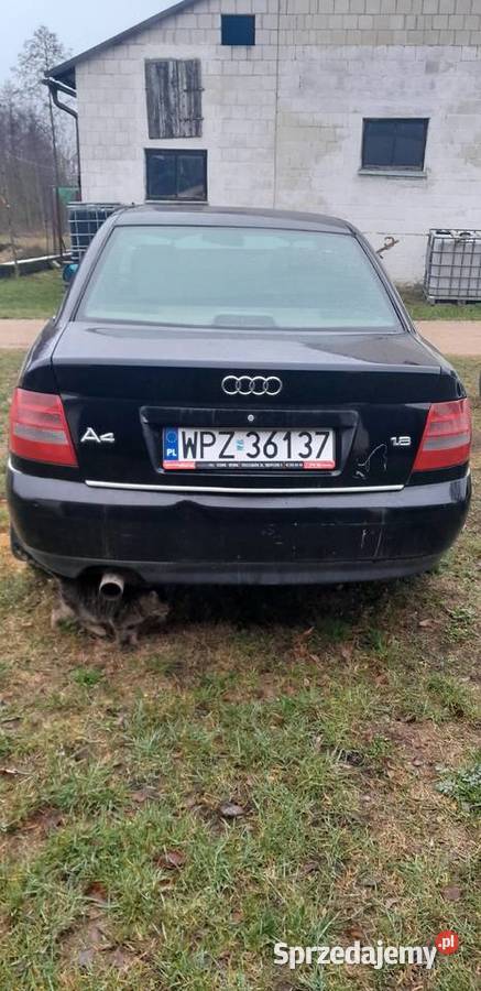 Audi A4 B5 Sedan Szypliszki