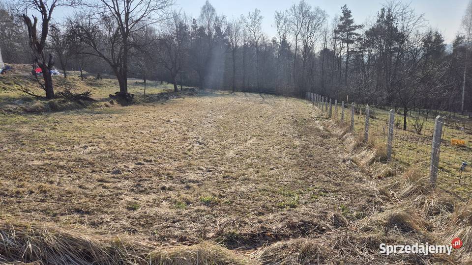 Działka budowlana 20a Tyczyn Lasek WZ budowlana