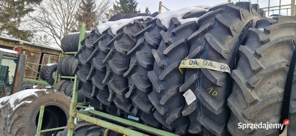 28085r28 112r28 11228 Cultor Kleber 2022 Nowe Nowe Miasto Lubawskie