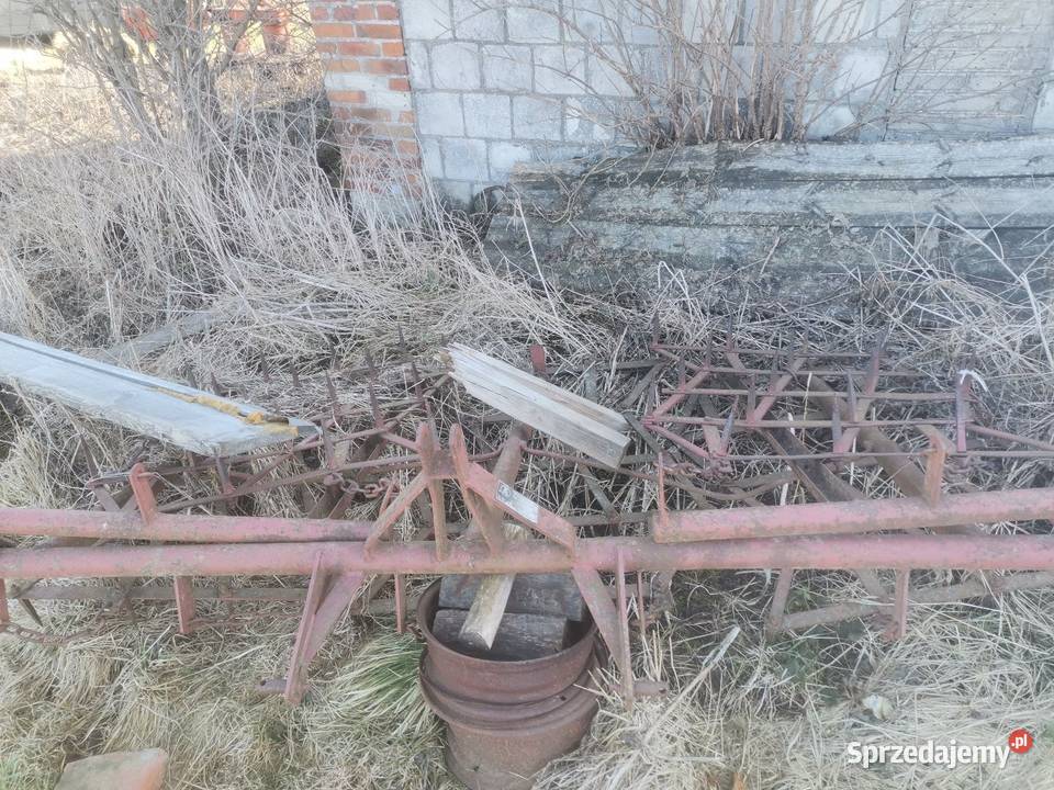 Sprzedam gruber ładny Hrubieszów