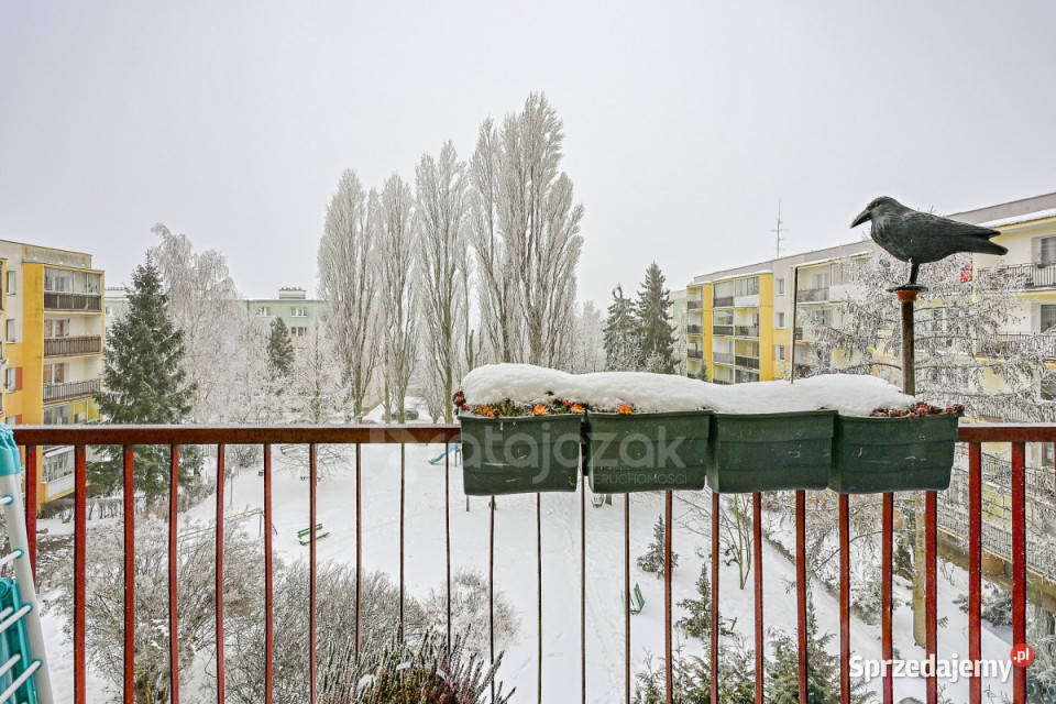 Mieszkanie Gdańsk 495 metrów 2 pokoje sprzedam