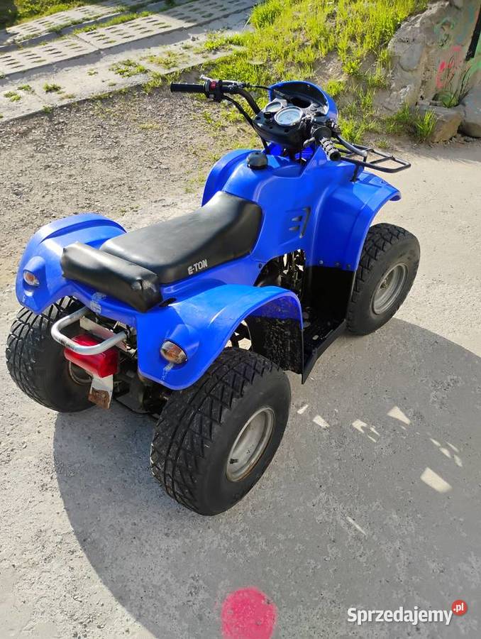Quad Eton 100 2 t Rok produkcji 2018 Skomielna Czarna