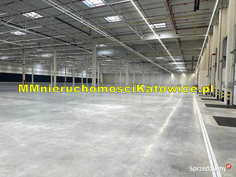 Nowe magazyny do wynajęcia śląskie Mysłowice A4