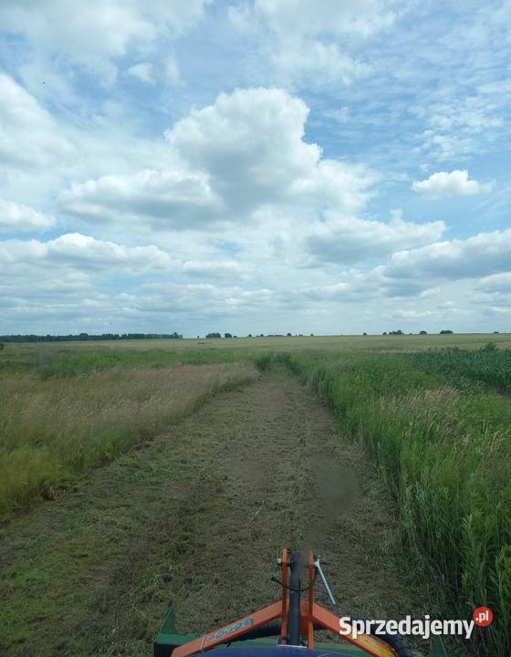 USŁUGI KOSZENIA TRAWY NIEUŻYTKÓW PUŁAWY Puławy