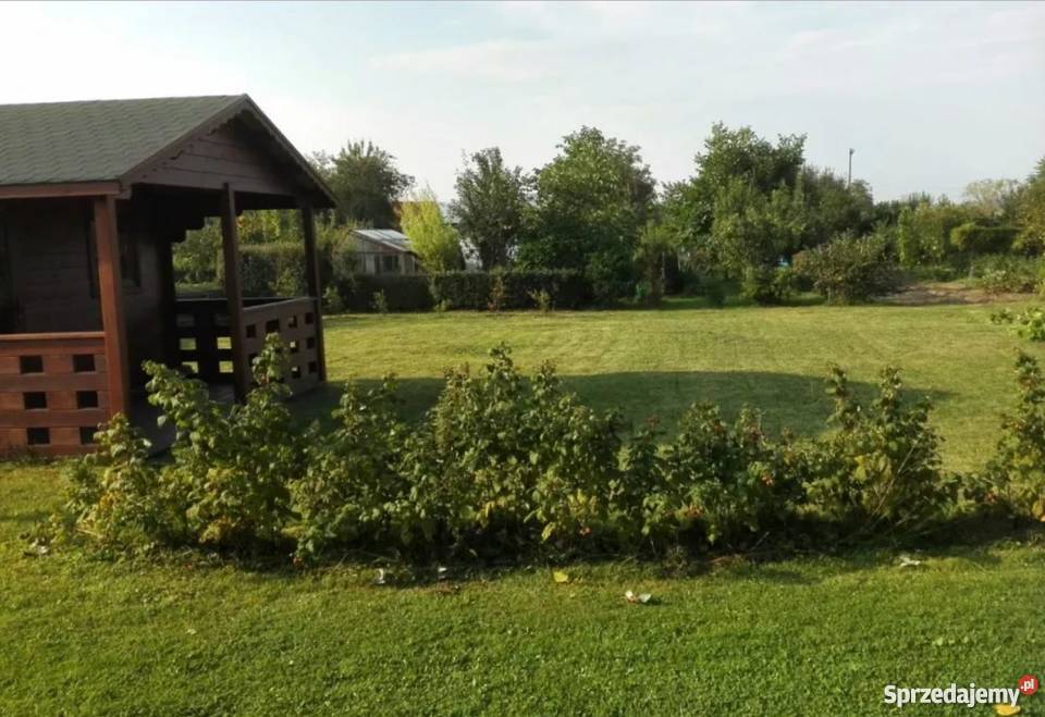 ogródek działkowy Stary Sącz 34zł/m2 małopolskie