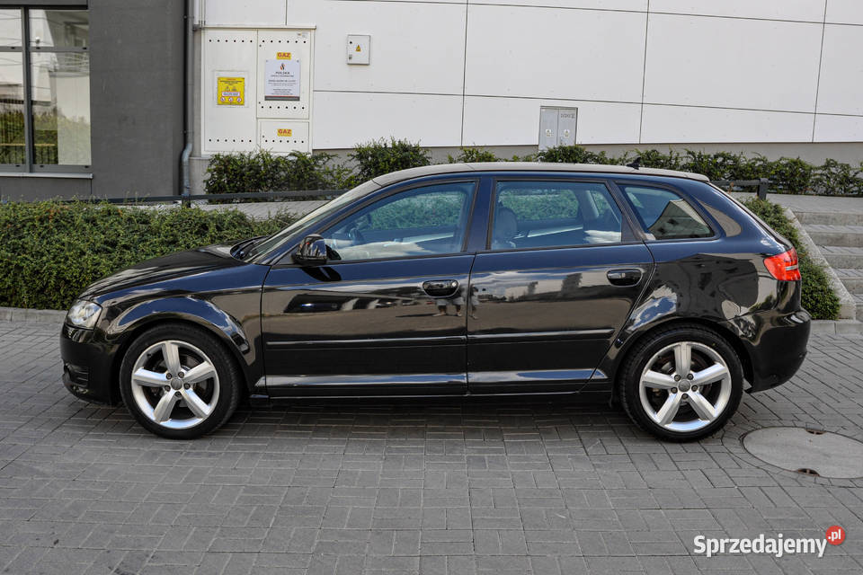 Audi A3 8P 19TDI Lift Skóry nieuszkodzony dolnośląskie Wrocław