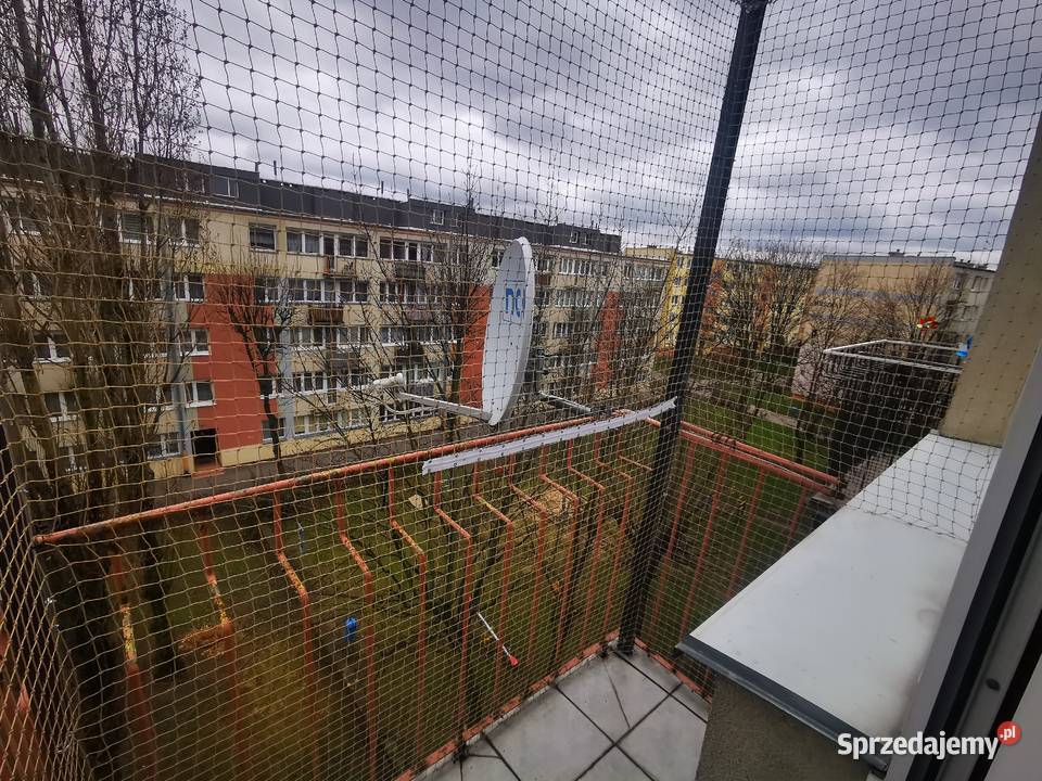 Montaż siatki na balkon koty ptaki