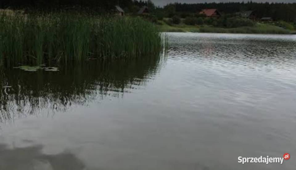 Nogat działka jeziorem Kuchnia las