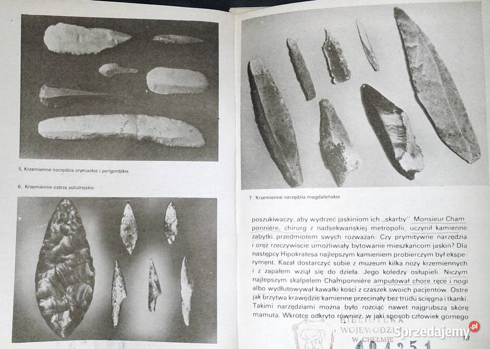 Wenus epoki lodowej Rudolf Drssler Chełm
