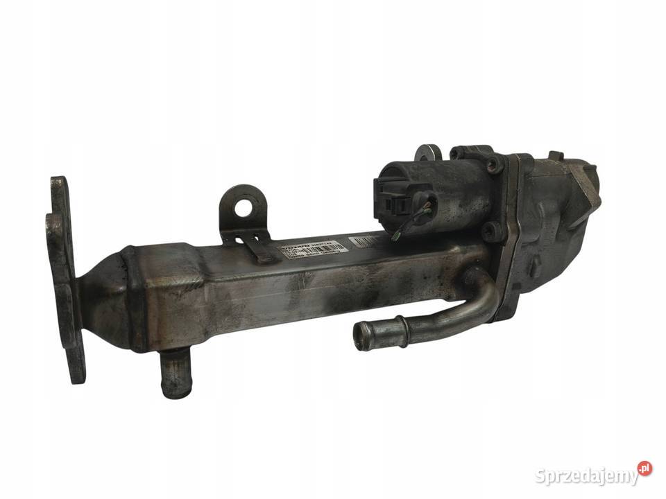 CHŁODNICA SPALIN EGR Volvo V70 S60 S80 XC90 24 Chełm