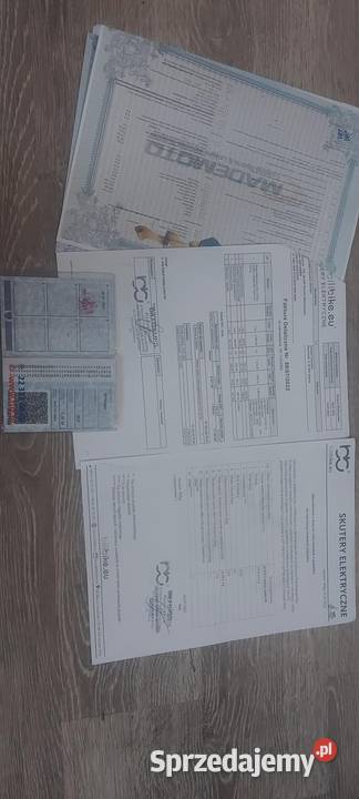 Skuter elektryczny choper bili coco cobra Zabrze