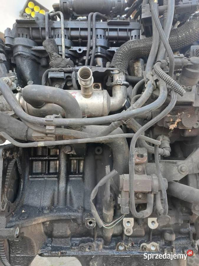 Citroen Peugeot Ford 16 HDi 109 silnik kompletny Jastrzębie-Zdrój sprzedam