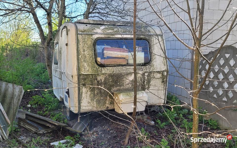 Przyczepa Kempingowa Niewiadów N126 Niewiadów Kraków