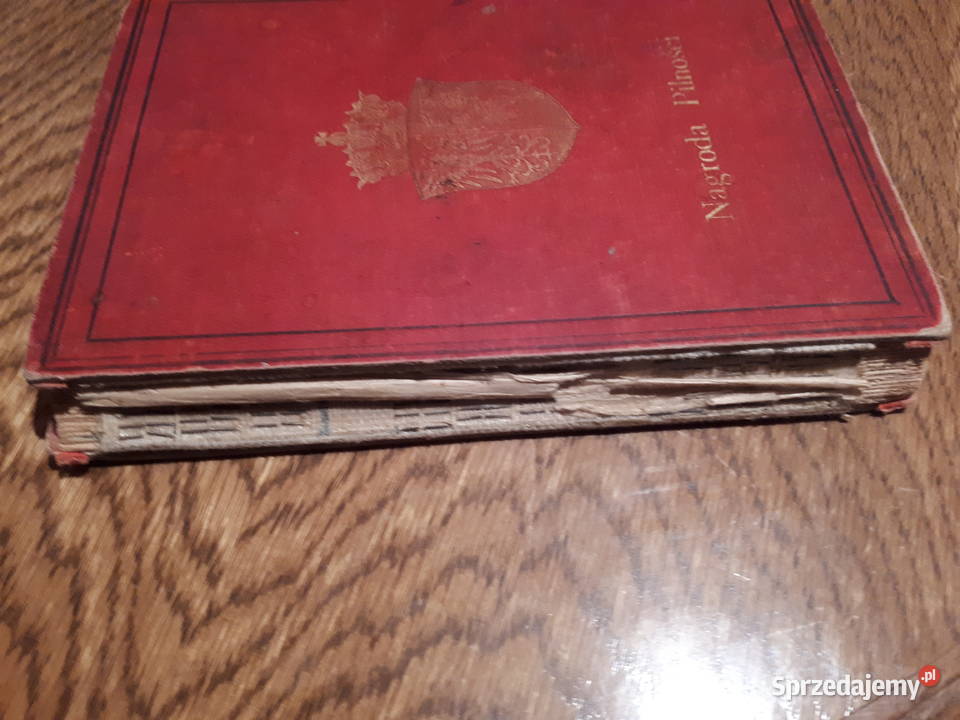 Dzieje Polski do najnowszych czasów Poznań 1895 sprzedam