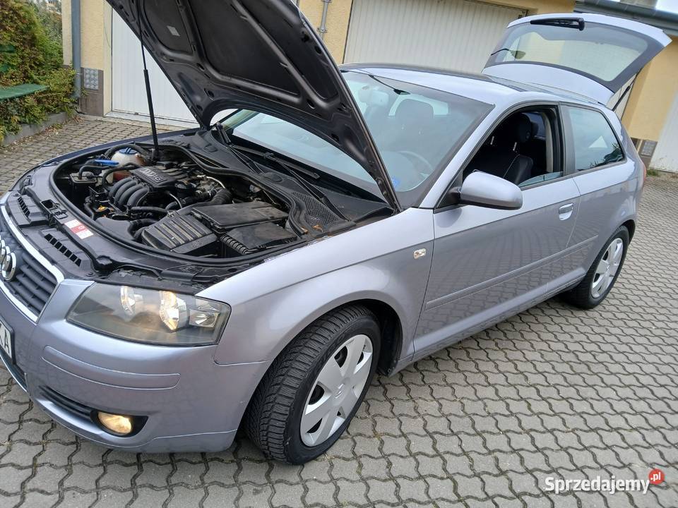 AUDI A 3 8P 16MPI 20032004 zadbana klimatronik światła przeciwmgielne kujawsko-pomorskie Bydgoszcz