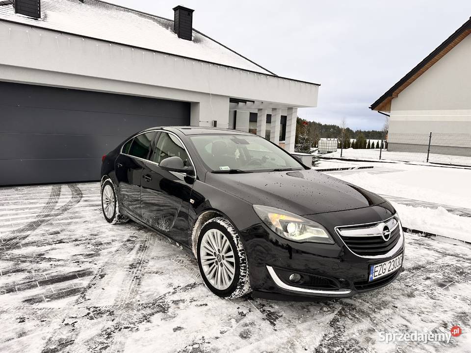 Opel Insignia Ozorków