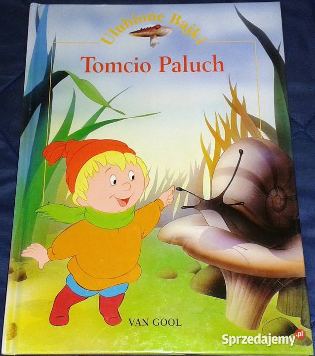 Tomcio Paluch Van Gool Chełm