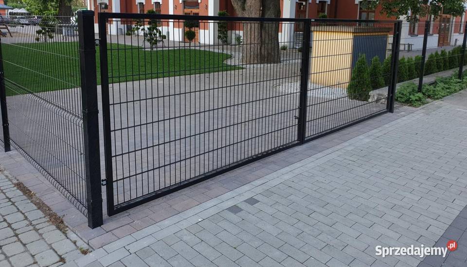Panele ogrodzeniowe 3D panel ogrodzenie 153173 Szczebrzeszyn