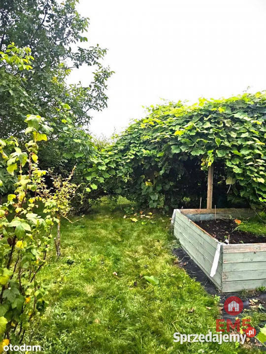 sprzedaży domu wolnostojącego 5200m2 Słupie siatka