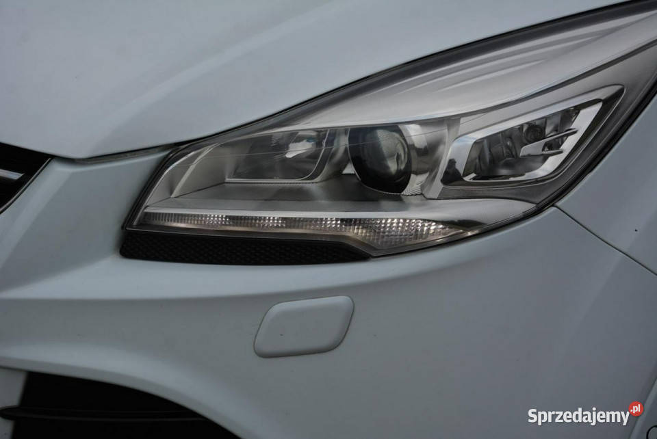 Ford Kuga Individual Radar ACC Skóry Panorama Kuga mazowieckie Ostrów Mazowiecka