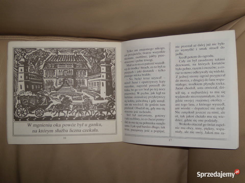 Kwiat paproci Józef Ignacy Kraszewski Rok wydania 1981