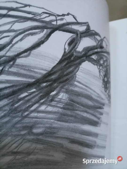 A jabłoń ciągle tam stoi Zalewska wiersze poezje Rok wydania 2012 Warszawa