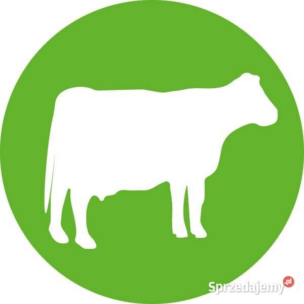 Strzykawka ECOMATIC 2 ml Luer Lock z mocowaniem Kamionna