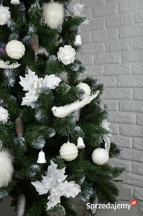 CHOINKA NA STOJAKU 180 SOSNA DIAMENTOWA PIEŃ Boże Narodzenie Kielce sprzedam