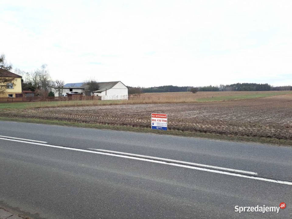 Działka pod zabudowę jednorodzinną bliźniaczą 18871m2 Sprzedaż mazowieckie Żebraczka