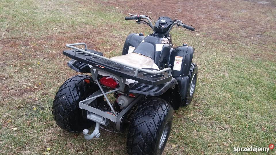 Quad aeon cobra 180 przyczepka 1500km Aeon