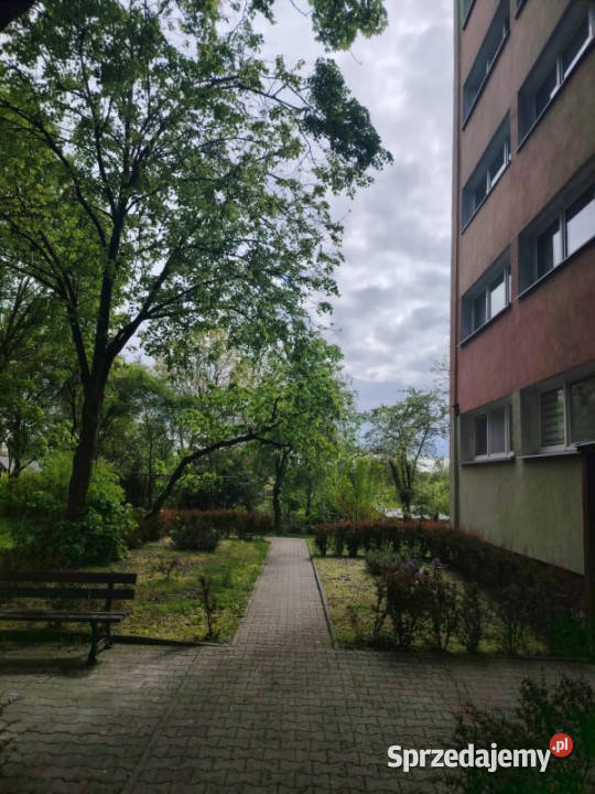 Oferuję mieszkanie do wynajęcia łódzkie sprzedam