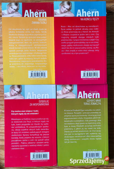 Ahern 4 książki na końcu tęczy kraina tutaj Rok wydania 2013 Sosnowiec sprzedam