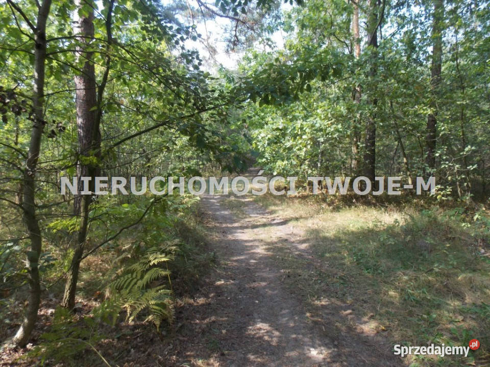 grunt 1530m2 Ostrowiec Świętokrzyski
