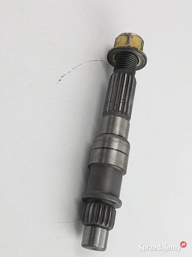 Walek Cpi Aragon Łódź