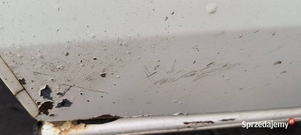 DRZWI LEWE PRZÓD FORD TRANSIT CUSTOM L1H1 FROZEN Lipno