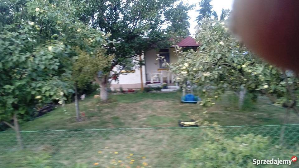 Działka ROD Leśna Polana Poznań utwardzona sprzedam