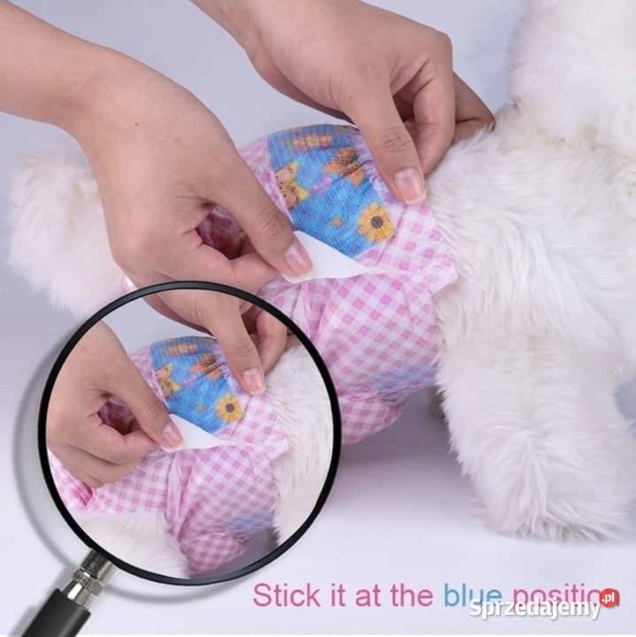 Pieluchy psów wskaźnik wilgotności rozmiar M Domaszczyn