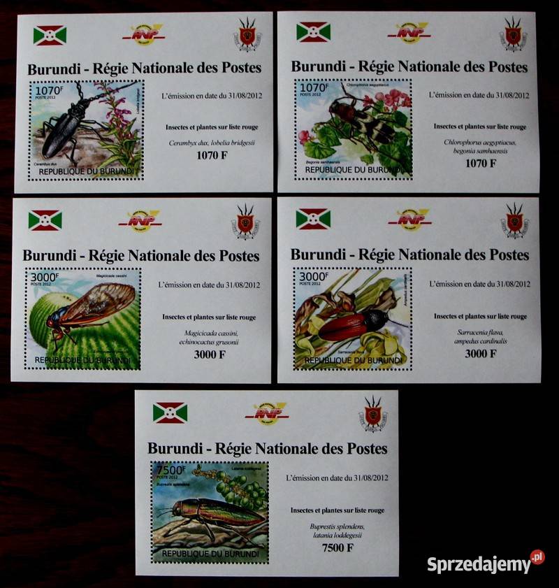 Burundi Oborniki sprzedam