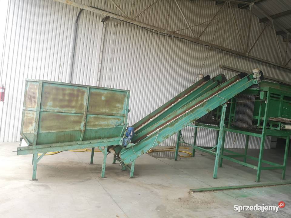 Sortownik do ogórków 34 łańcuchy Maszyny rolnicze wielkopolskie Czermin