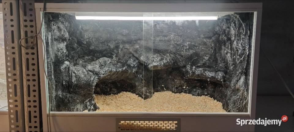 Terrarium agamy brodatej gekona lamparciego