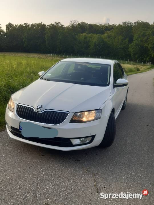 Skoda Octavia 3 Sedan / Limuzyna Tarnów