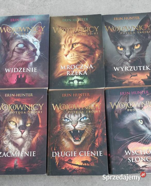 Fantasy Erin Hunter Świetne książki na jesienne Lublin