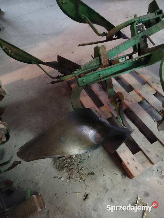 Pług regent unia świętokrzyskie Kazimierza Wielka