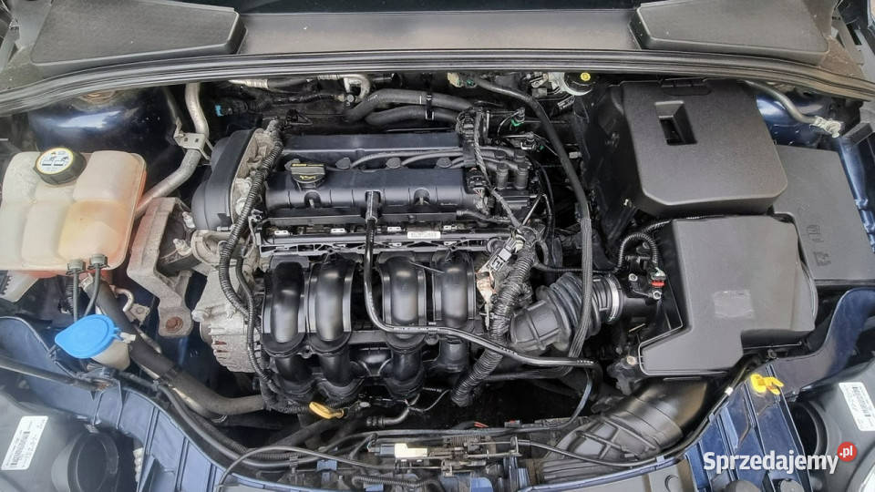 Ford Focus 125 Super Stan Klima Alu GWARANCJA VAT marża mazowieckie Płońsk