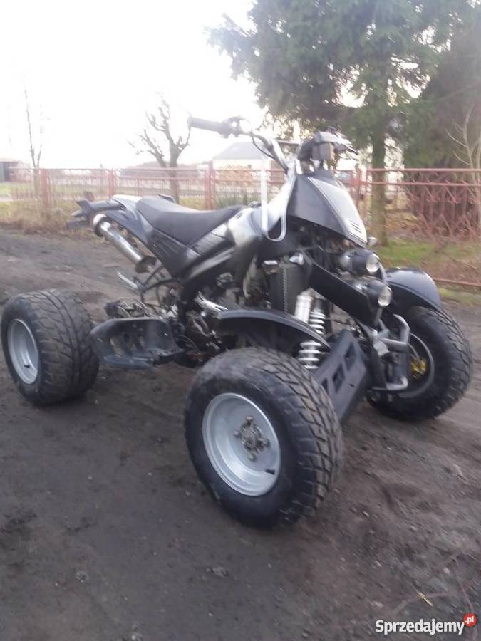 Quad XMOTOS XATV 250CC NIEbashan 200250 egl Rok produkcji 2009 wielkopolskie Witkowo
