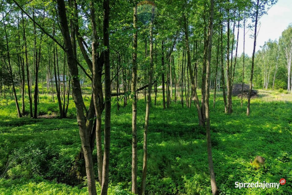 Działka Budowlana 2324 m2 Bieganów gm Jaktorów mazowieckie